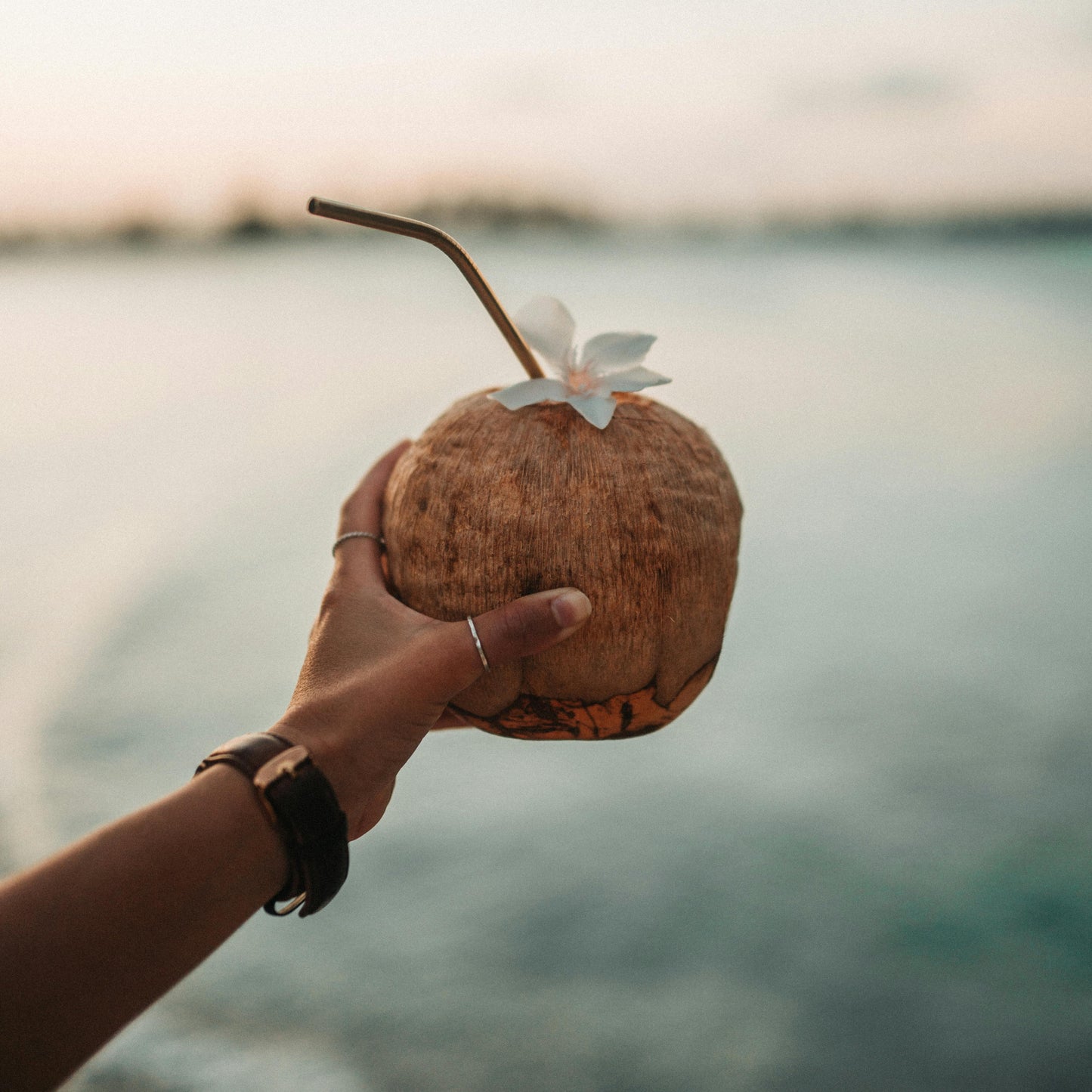 Hand holding a coconut with a straw against a blurred natural background