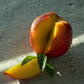 HOPE : ripe nectarines + fresh mint + lime