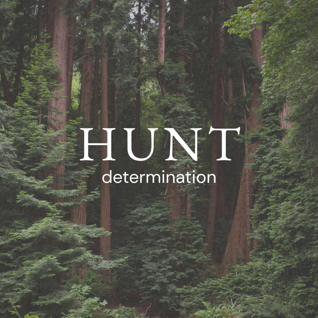 HUNT men's fragrance by Morro & Co, created for determination and focus
