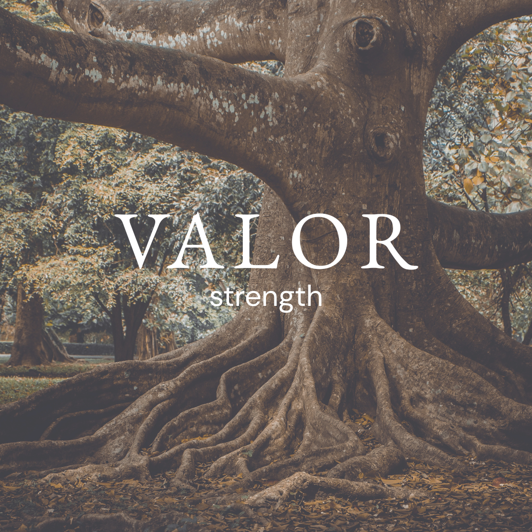 VALOR men's candle fragrance by Morro & Co, representing strength against a mountain backdrop.